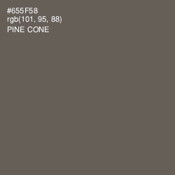 #655F58 - Pine Cone Color Image